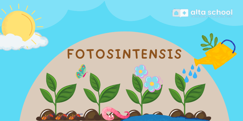 Fotosintensis