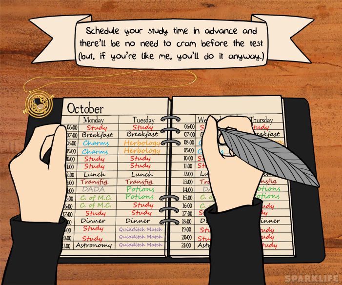 5 Tips Belajar ala Hermione Granger, Si Cerdas Sahabat Harry Potter (1)