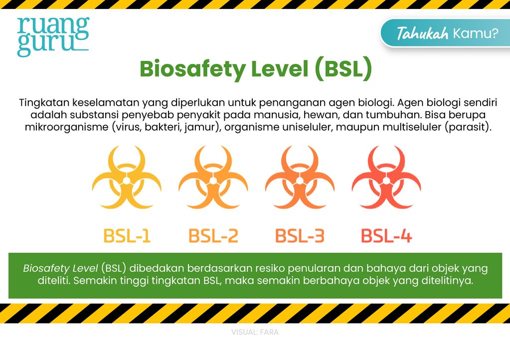 Pengertian Biosafety Level