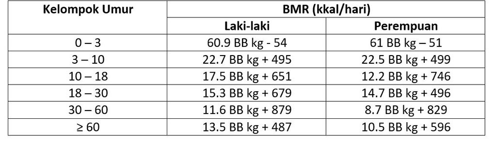 Apa Itu BMI dan BMR?