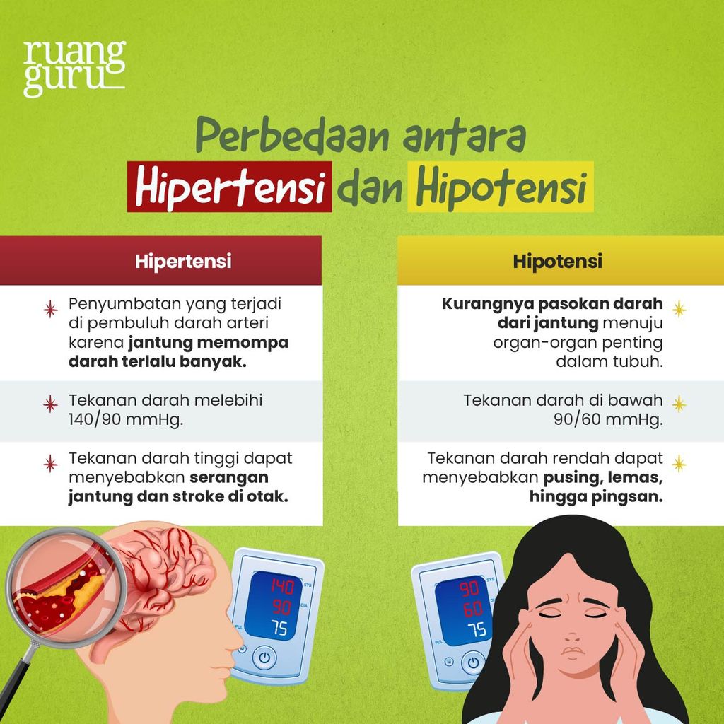 Biologi Kelas 8 - Gangguan Sistem Peredaran Darah Manusia-Bedanya Hipertensi dengan Hipotensi