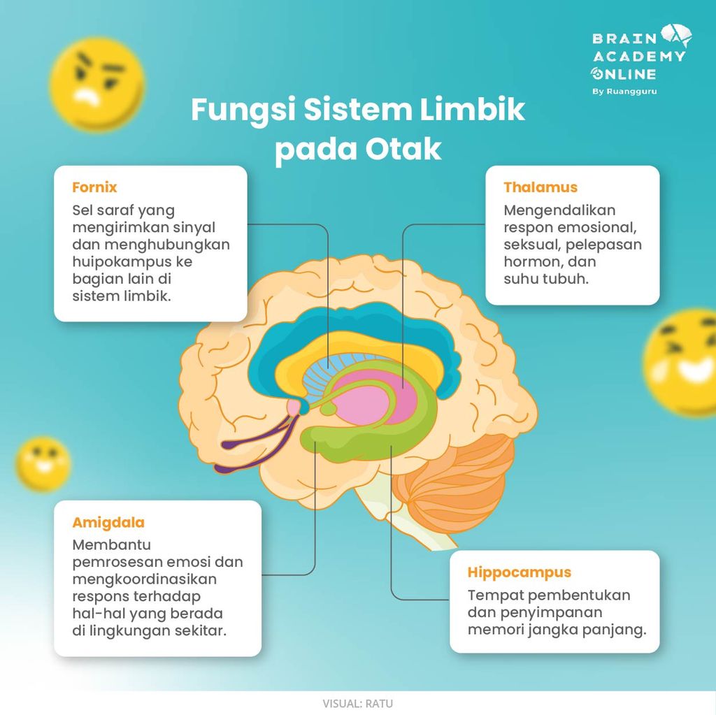 Emosi dihasilkan oleh sistem limbik otak
