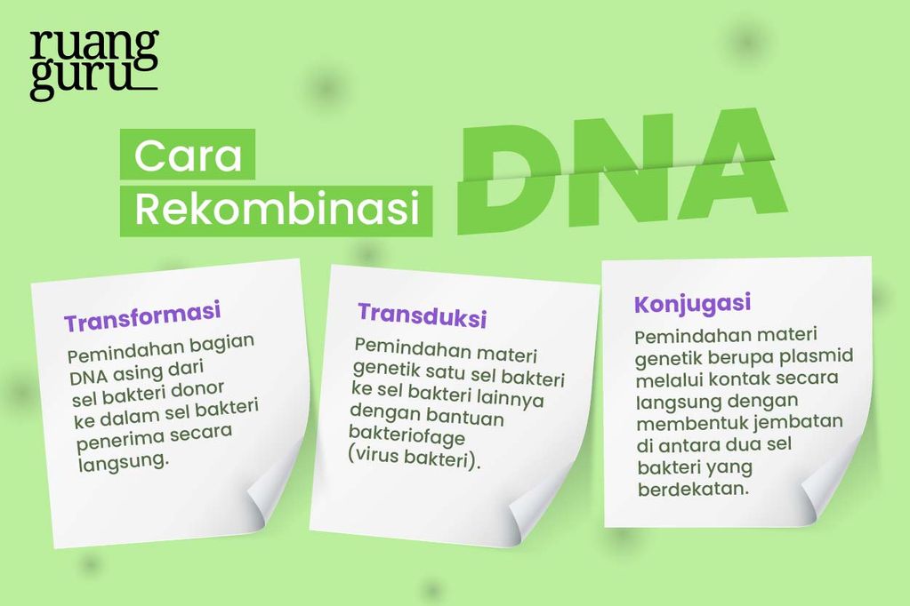 Cara Rekombinasi DNA