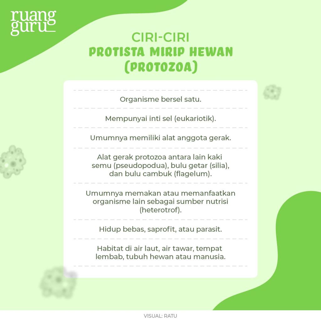 Ciri-Ciri Protista Mirip Hewan (Protozoa)