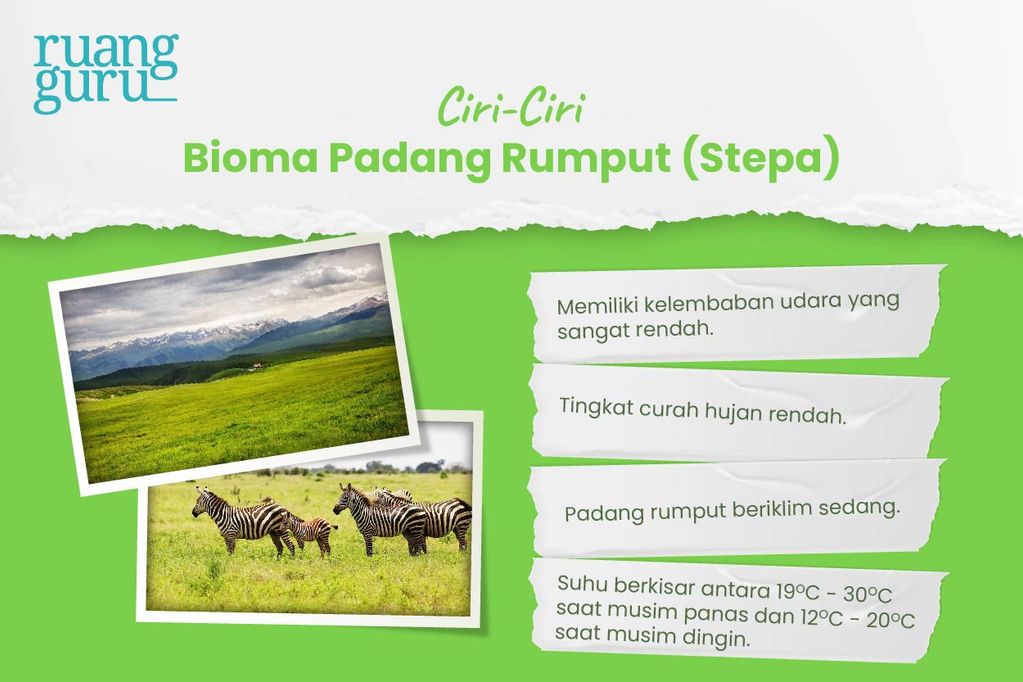 Ciri-Ciri Bioma Stepa (Padang Rumput)