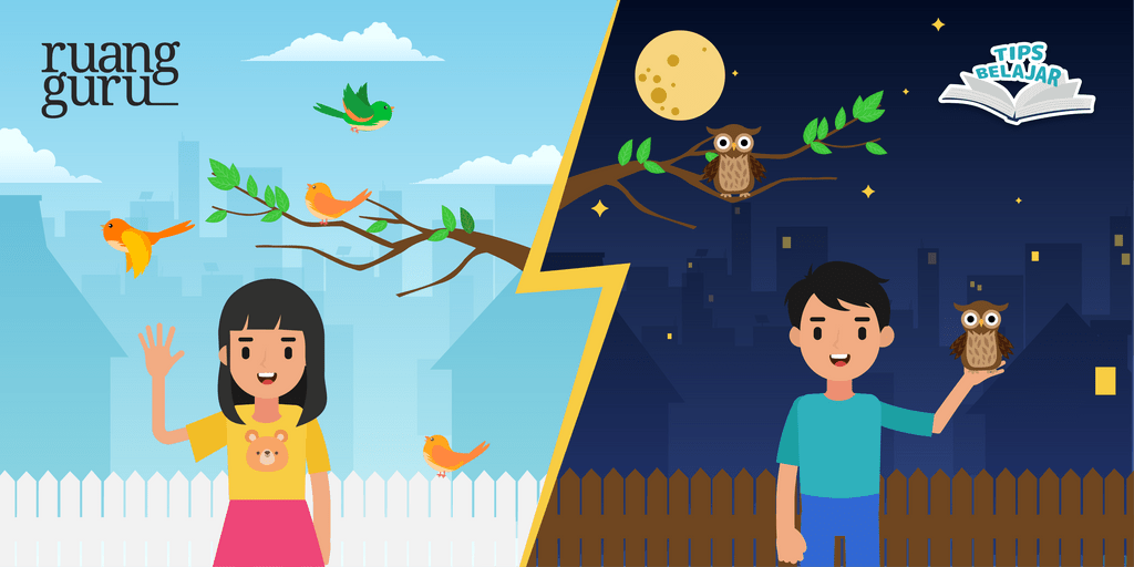Tips Belajar -Night owl vs Early bird
