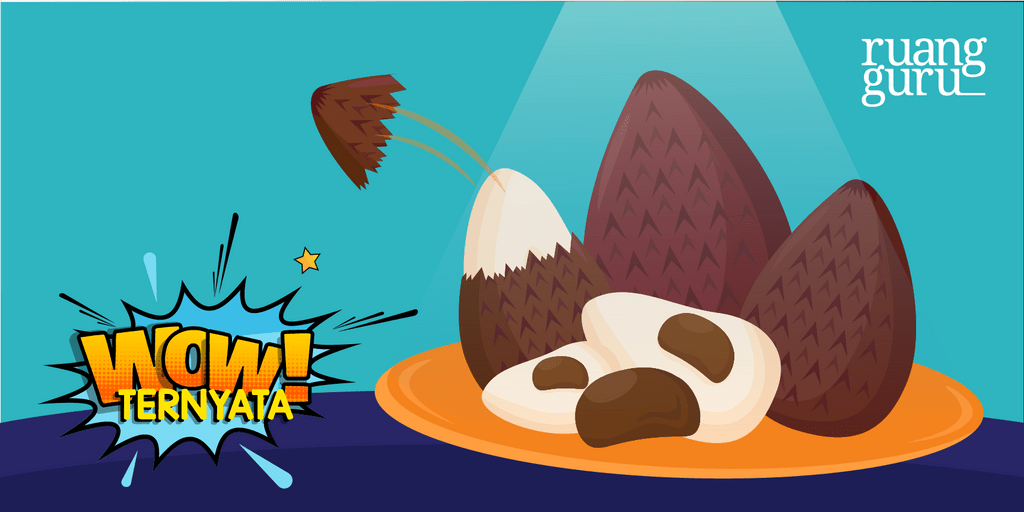 Header-WT-Manfaat_Salak-01