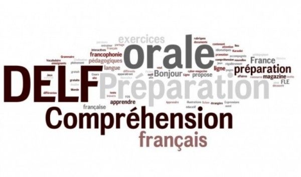 studi di Perancis - Logo DELF
