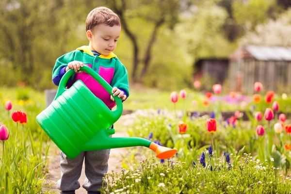 - Anak melakukan tugas menyiram bunga di halaman rumah