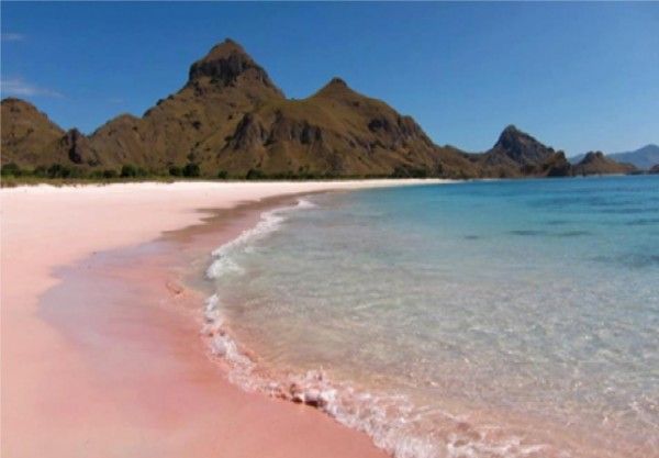 Fenomena Unik - Pantai pasir merah muda