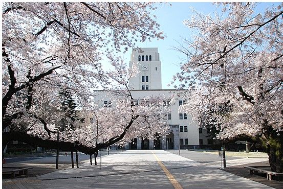 The University Of Tokyo