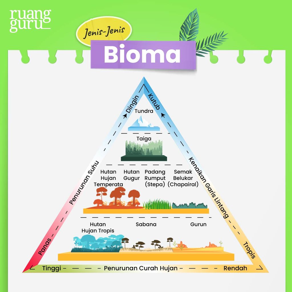 Jenis-Jenis Bioma