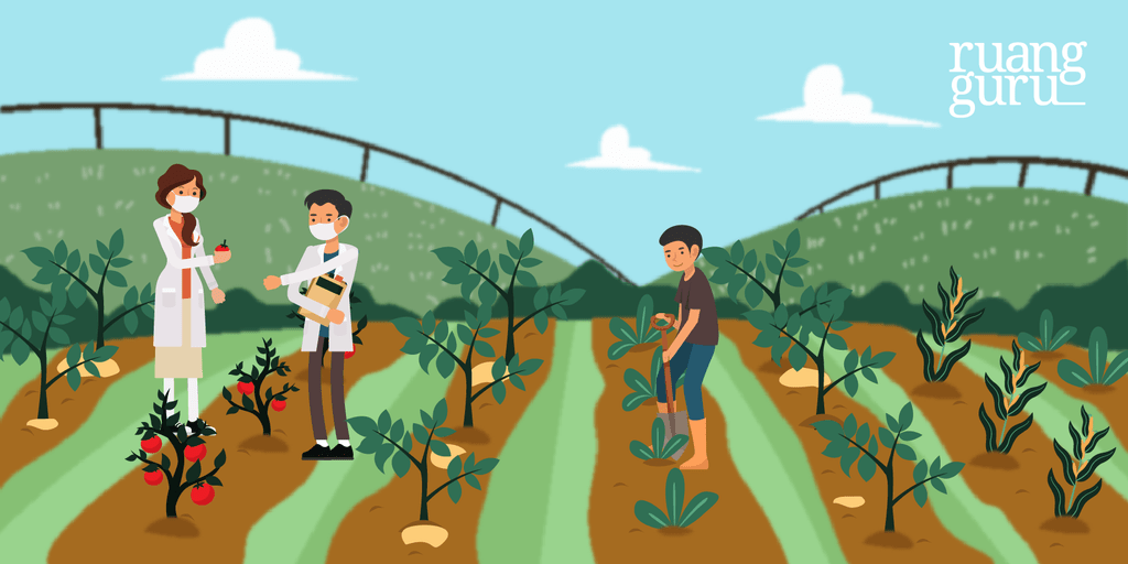 Jurusan Agroteknologi