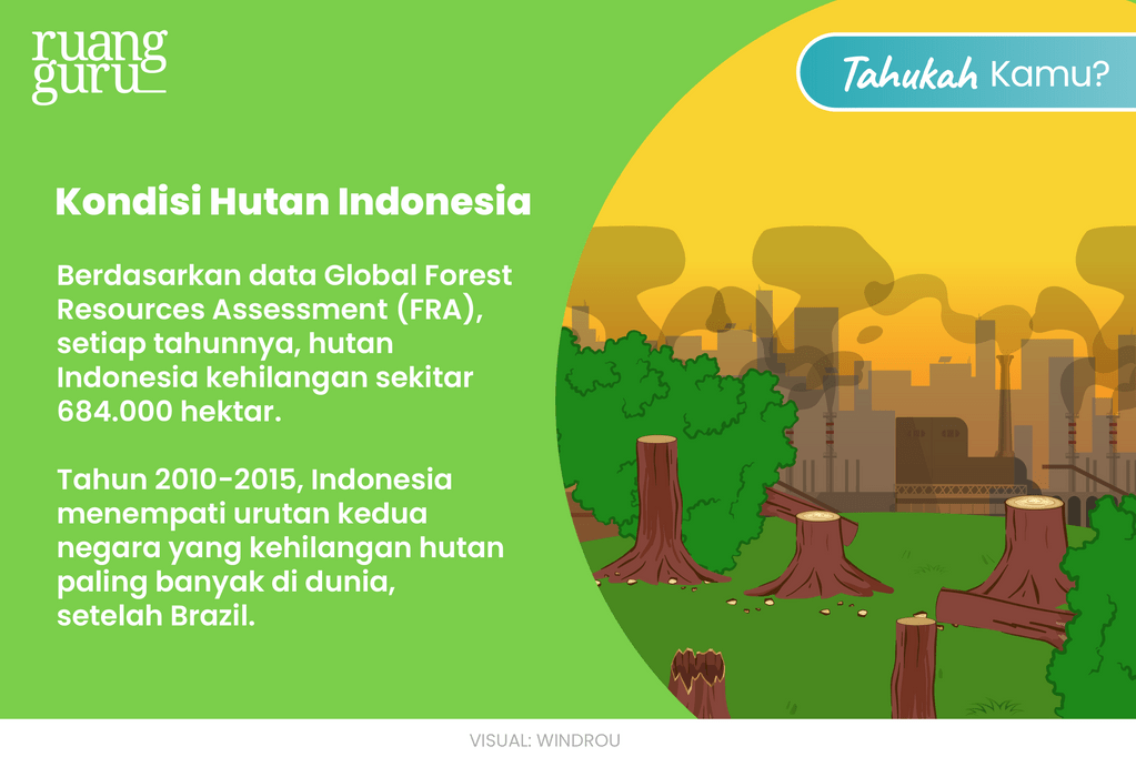 Kondisi Hutan Indonesia