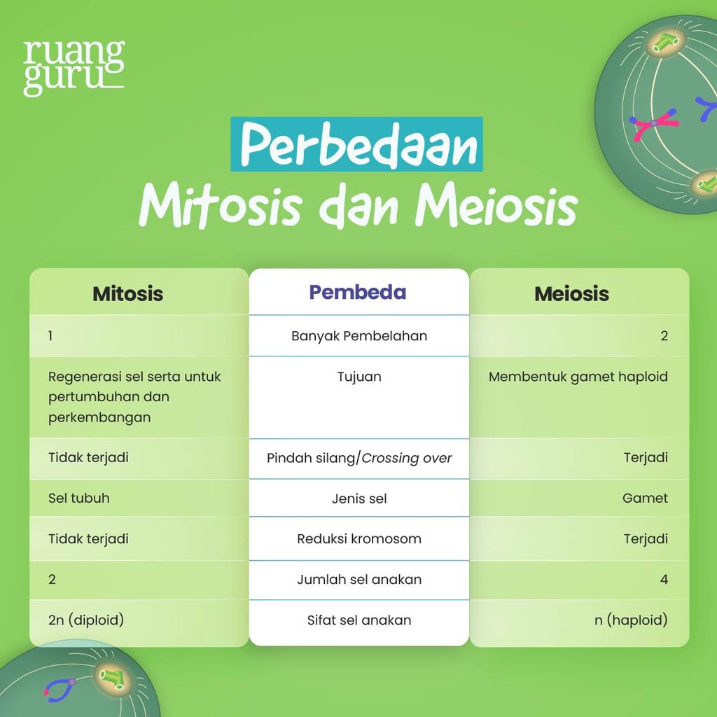 Konsep Pelajaran - Perbedaan Pembelahan Mitosis dan Meiosis - Biologi Kelas 12