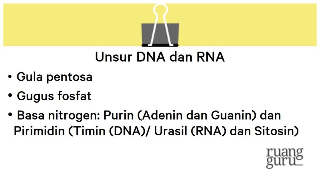 Mengenal Gen, DNA, dan Kromosom