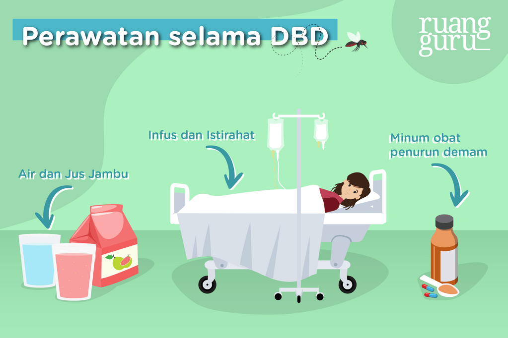 perawatan penyakit DBD
