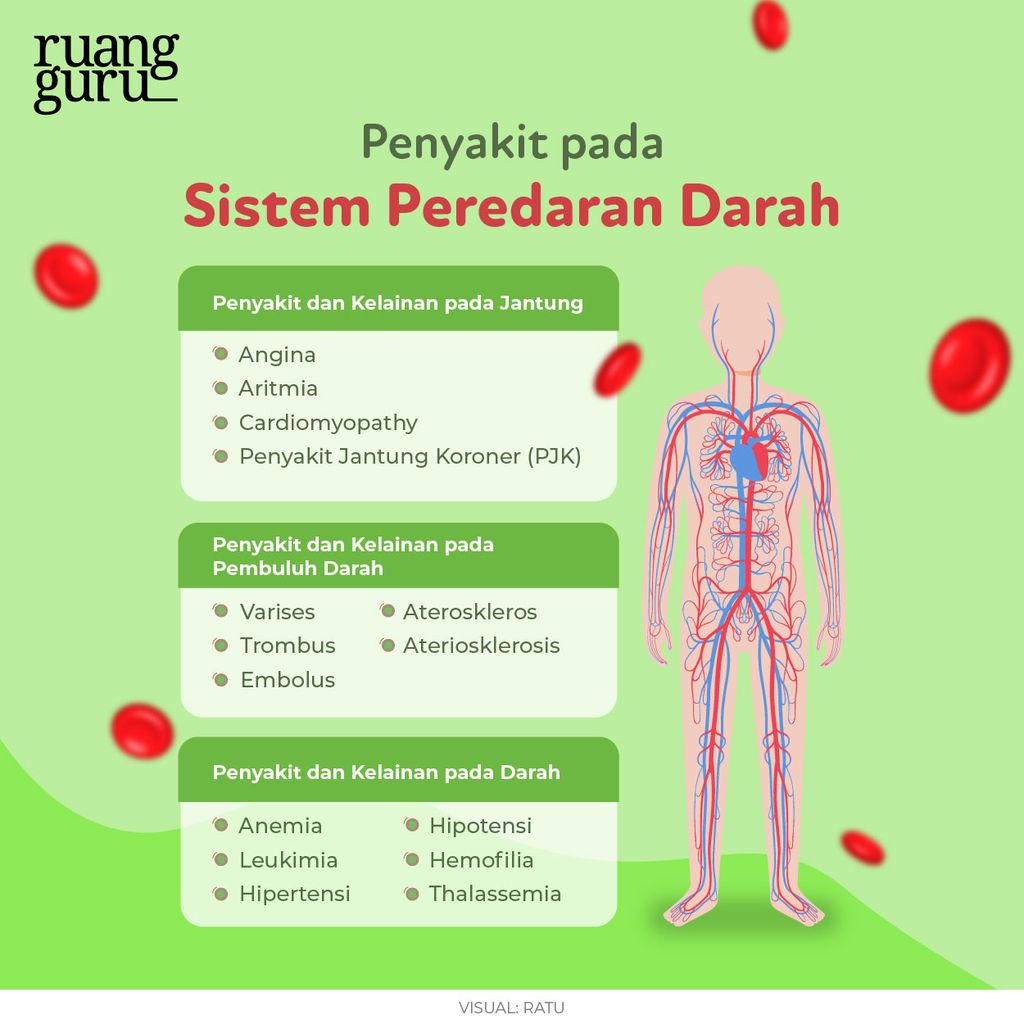 Penyakit dan Kelainan pada Sistem Peredaran Darah