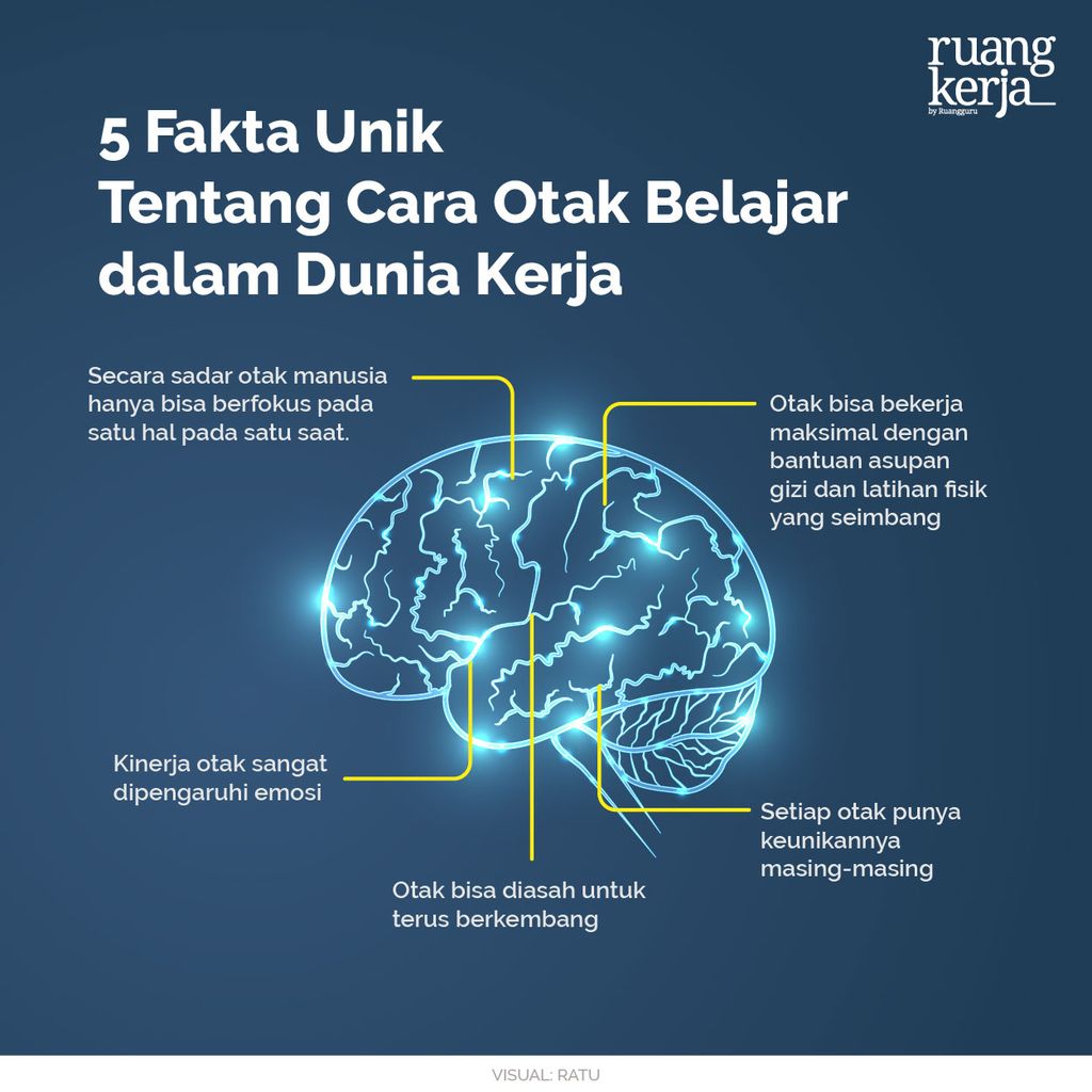 RK -  Memahami Bagaimana Cara Otak Belajar dan Penerapannya dalam Pengembangan Bisnis-01
