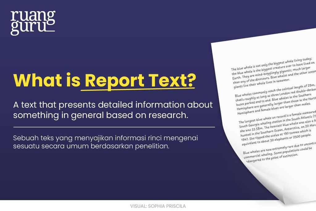 Apa itu report text