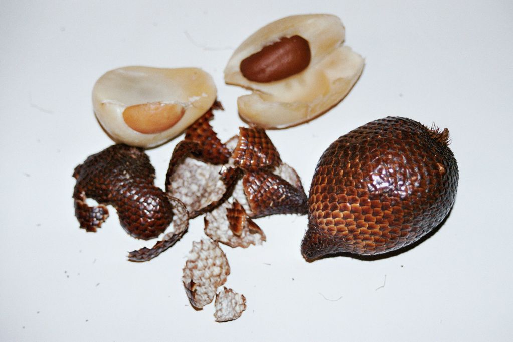 Kulit salak - Kandungan kulit salak