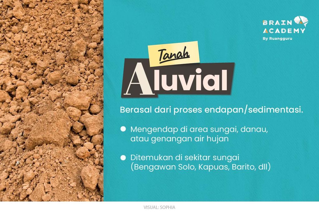 Tanah Aluvial