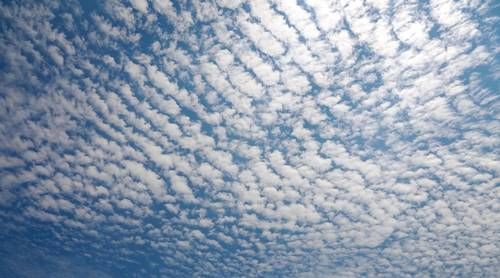 awan cirrocumulus