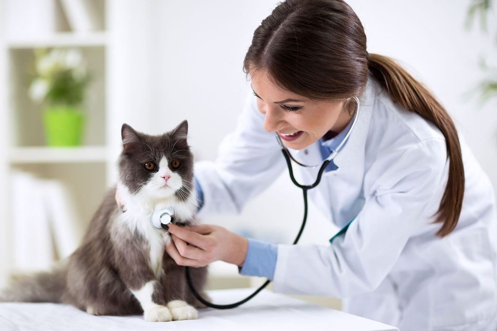 jurusan kedokteran hewan