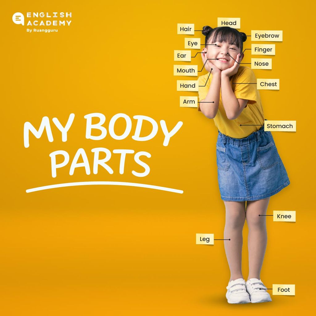 body parts anggota tubuh manusia bahasa inggris