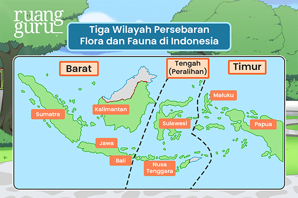 wilayah persebaran flora dan fauna di Indonesia
