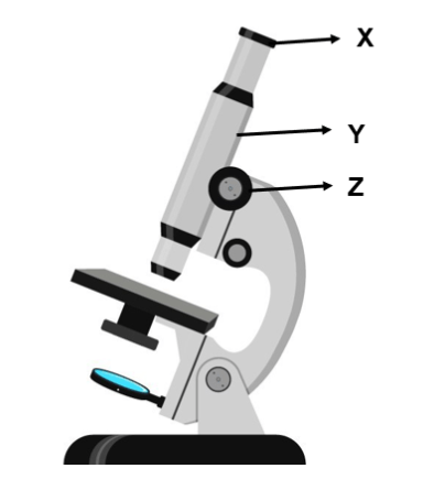 gambar mikroskop
