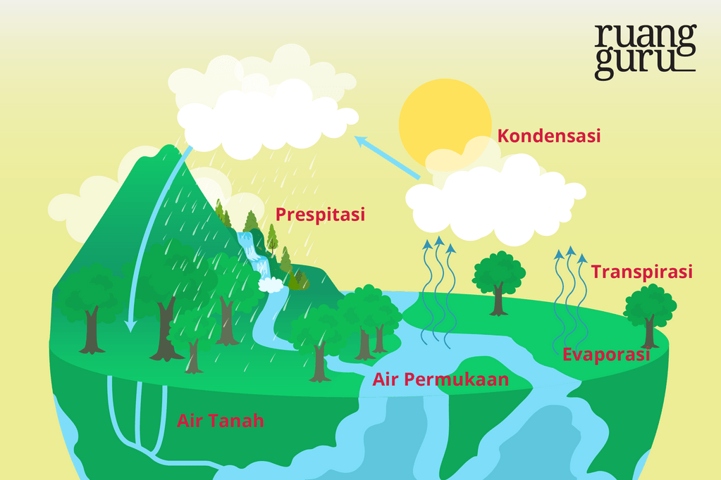 mengenal lapisan bumi hidrosfer - blog ruangguru - siklus hidrologi