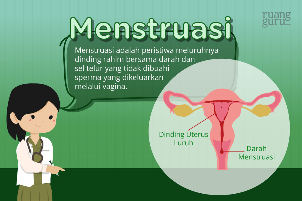 Menstruasi pada perempuan