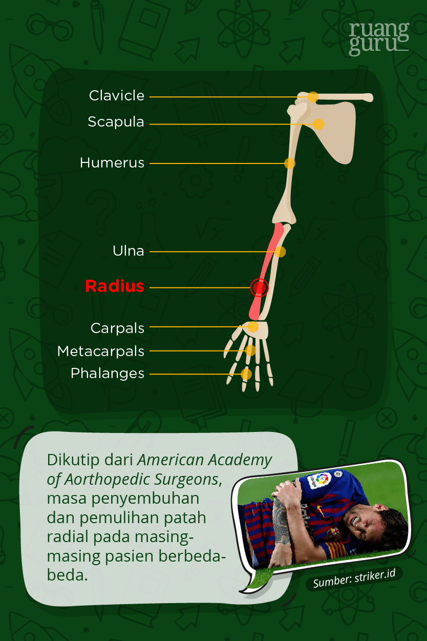 messi patah tulang - tulang radial