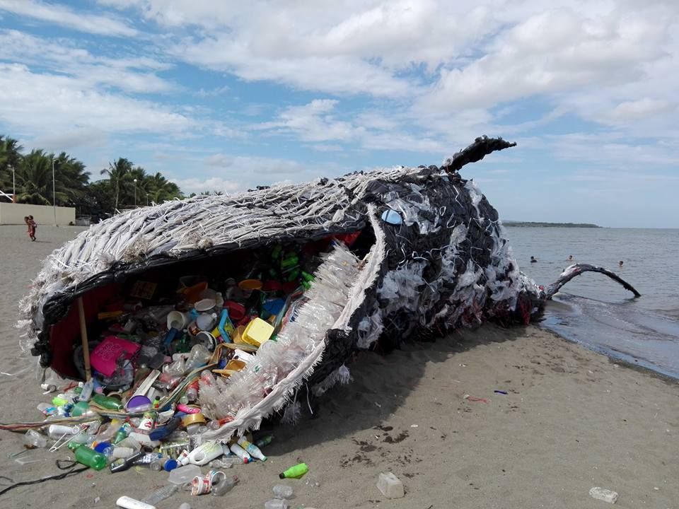 paus mati karena plastik-1