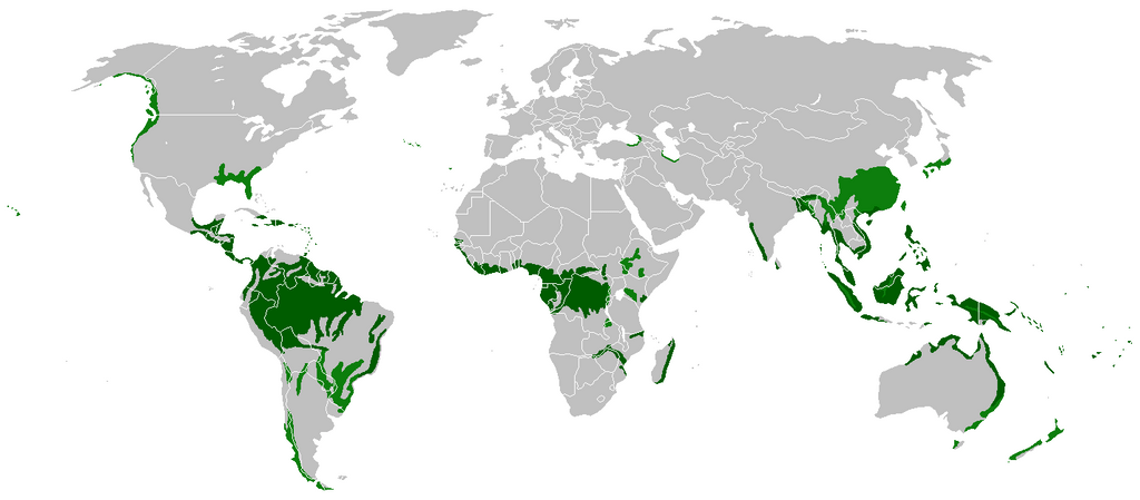 peta persebaran hutan hujan tropis