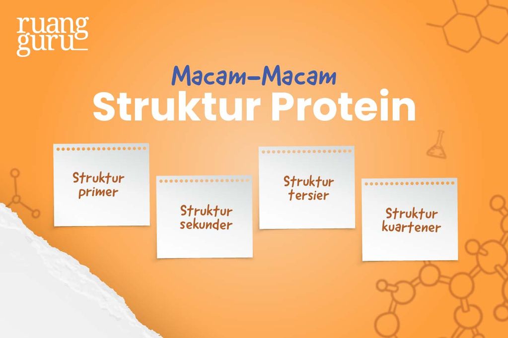 struktur protein