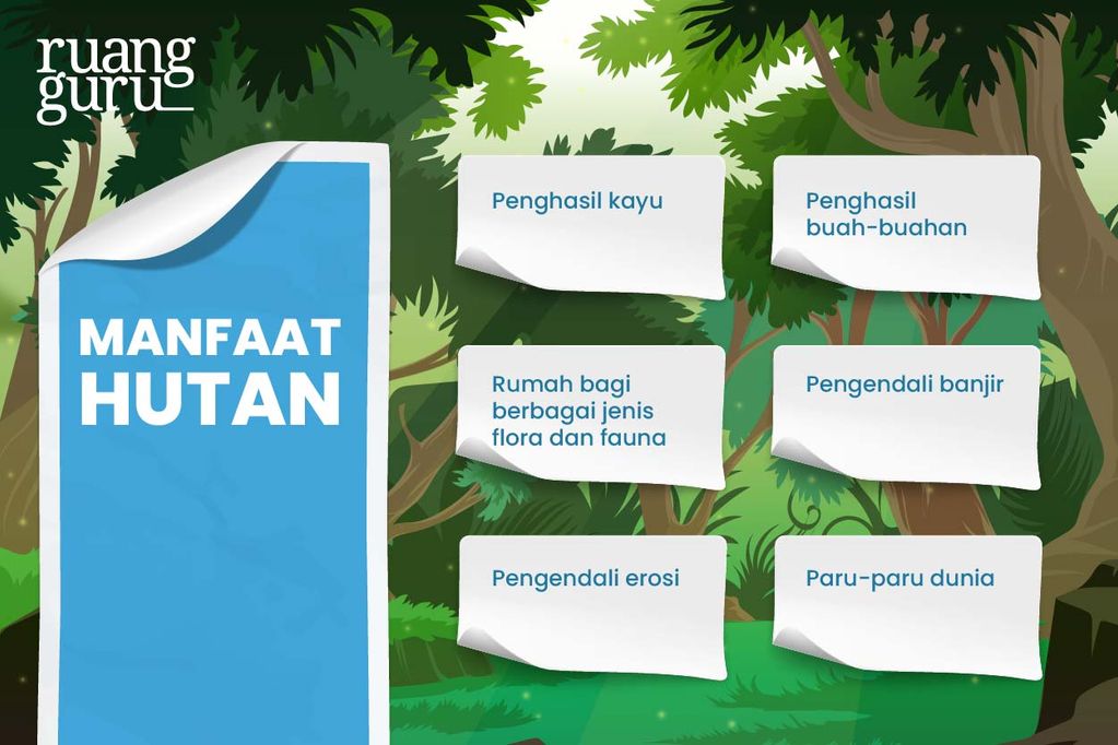 manfaat hutan