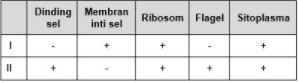 tabel mikroorganisme
