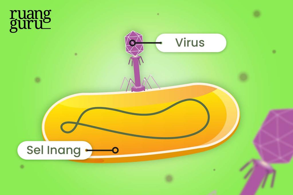 virus dan sel inang